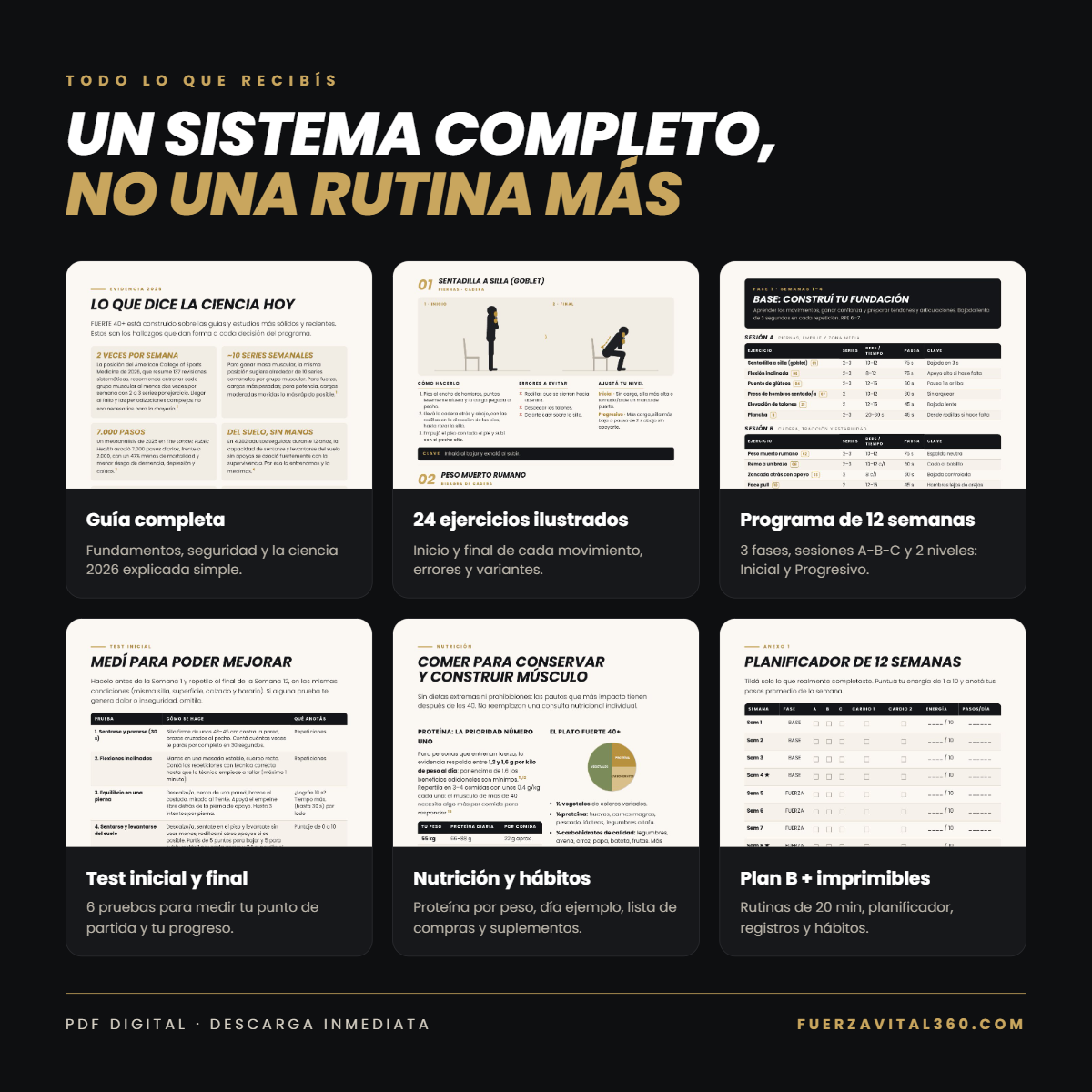 Fuerte 40+ - Programa Digital de Entrenamiento